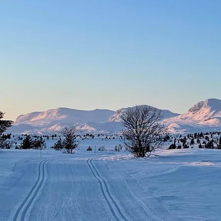 Gjestegard Sykkel Og Skicamp Holiday park Torpo