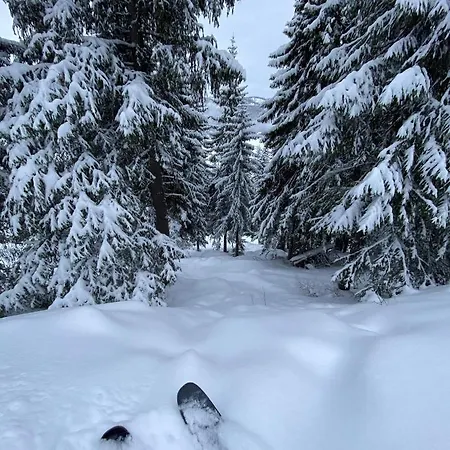 Semesterpark Gjestegard Sykkel Og Skicamp 3*