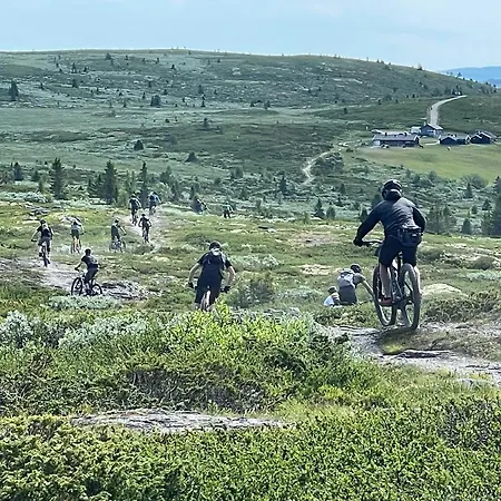 Gjestegard Sykkel Og Skicamp 3*
