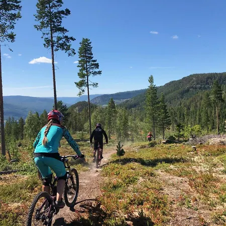 Gjestegard Sykkel Og Skicamp منتزه العطل 3*