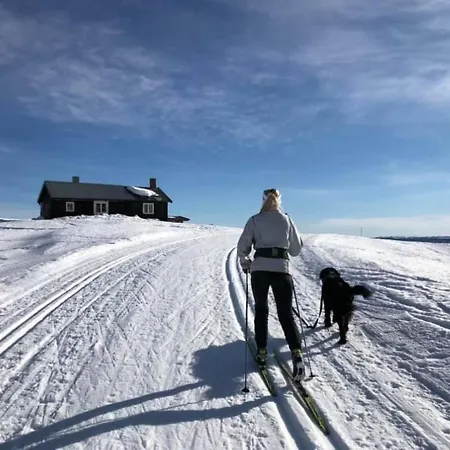 Gjestegård Sykkel Og Skicamp